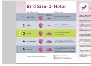 Hur du övervakar din fågelvikt och håller den frisk