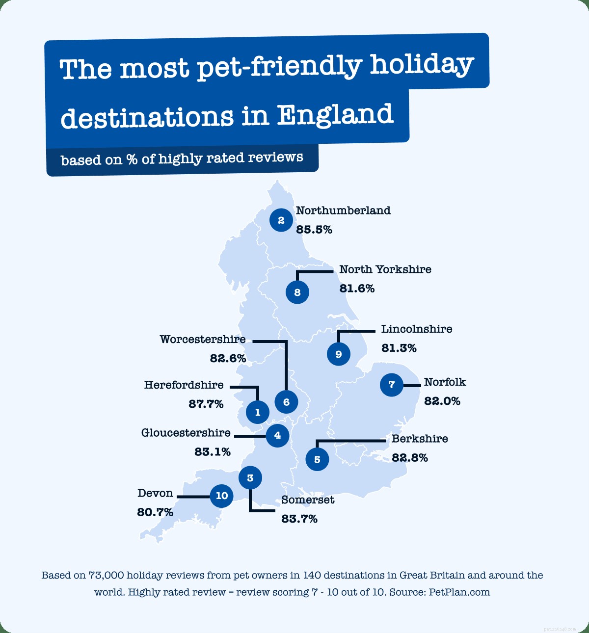 Vacanze pet-friendly