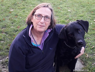 Tillbaka på fötter:hur en hund överlevde cancer