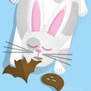 Zelfgemaakte traktaties voor konijnen op Halloween