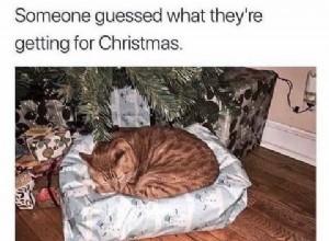 가장 재미있는 크리스마스 고양이 밈과 만화