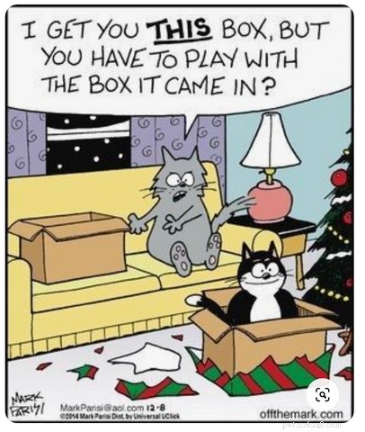 最も陽気なクリスマスの猫のミームと漫画 