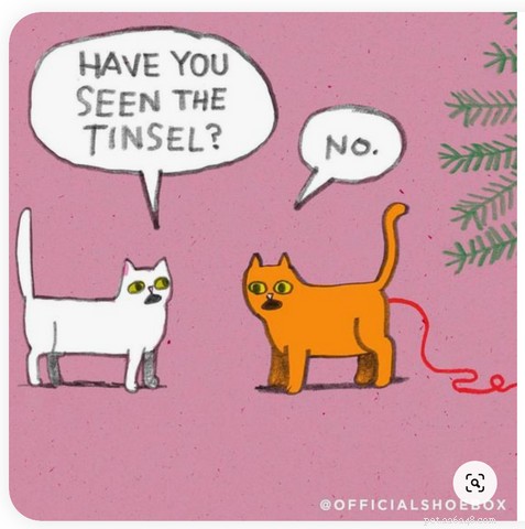 Nejzábavnější vánoční kočičí memy a kreslené filmy