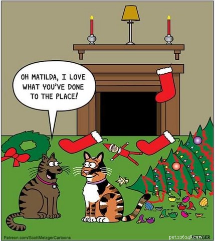 가장 재미있는 크리스마스 고양이 밈과 만화