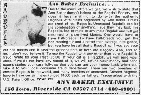 Cos è un gatto Ragdoll?
