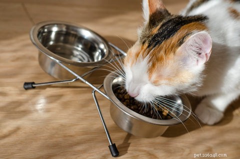 Vilken typ av matskål eller vattenskål ska jag köpa till min katt?
