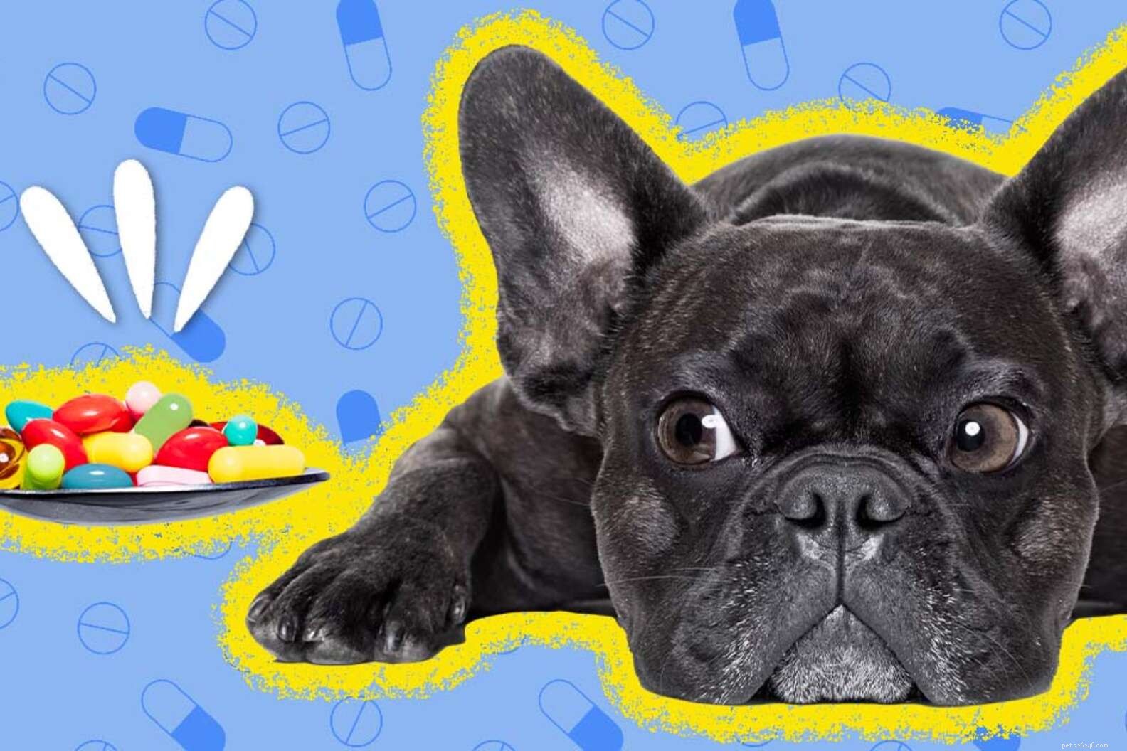Werken angstmedicatie voor honden?