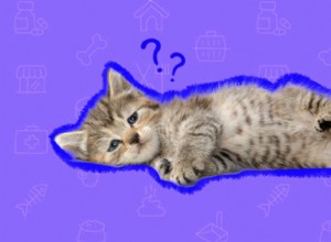 Tudo o que você precisa saber sobre a síndrome do gatinho desbotado