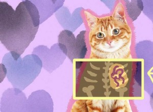 Cosa devi sapere sulla filariosi cardiopolmonare nei gatti