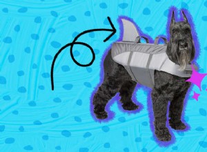 Nejlepší záchranné vesty pro psy, které udrží vaše štěně v bezpečí