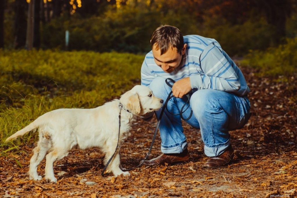 Adopter un gros chien :tout ce qu il faut savoir avant de le faire !