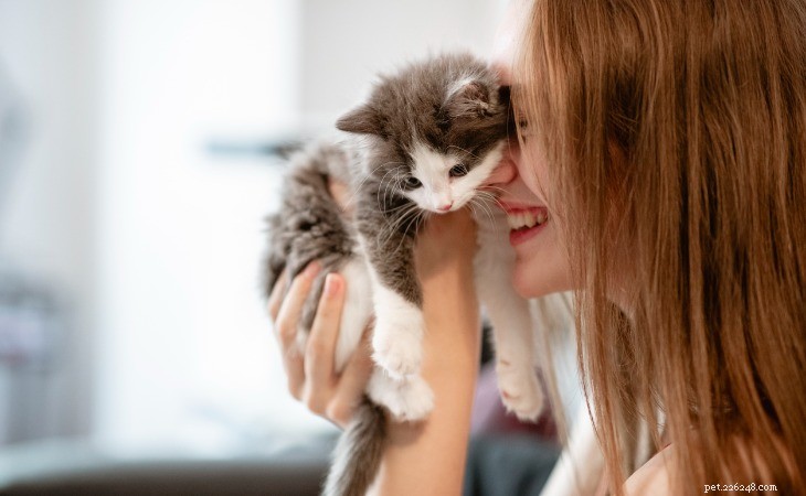 猫が幸せかどうかはどうすればわかりますか？ 