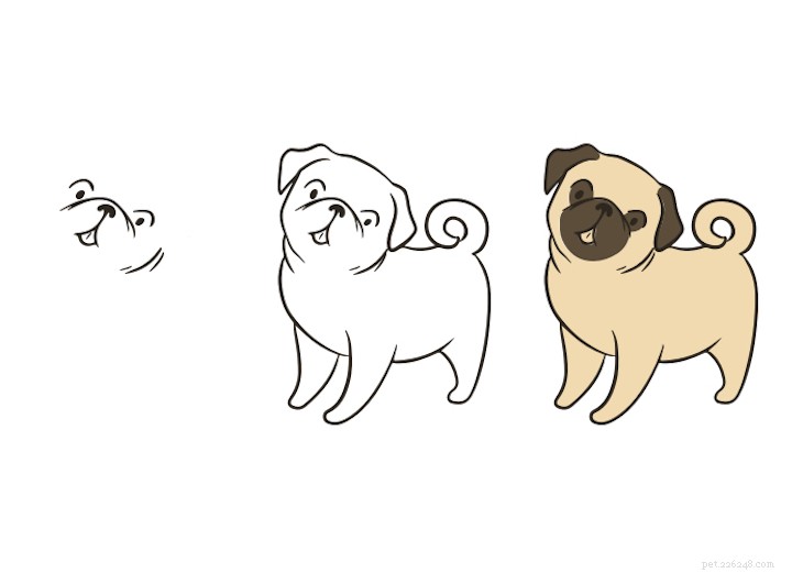 Como desenhar um Pug