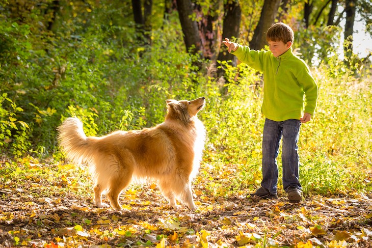 Top 10 des races de chiens pour enfants