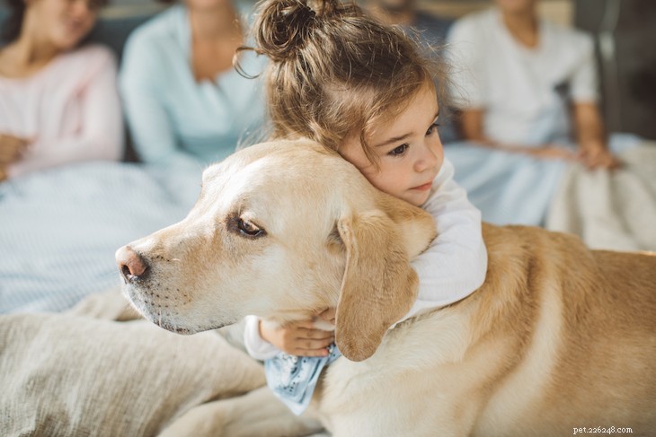 As 10 principais raças de cães para crianças