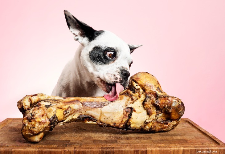 10 gevaarlijke voedingsmiddelen voor honden