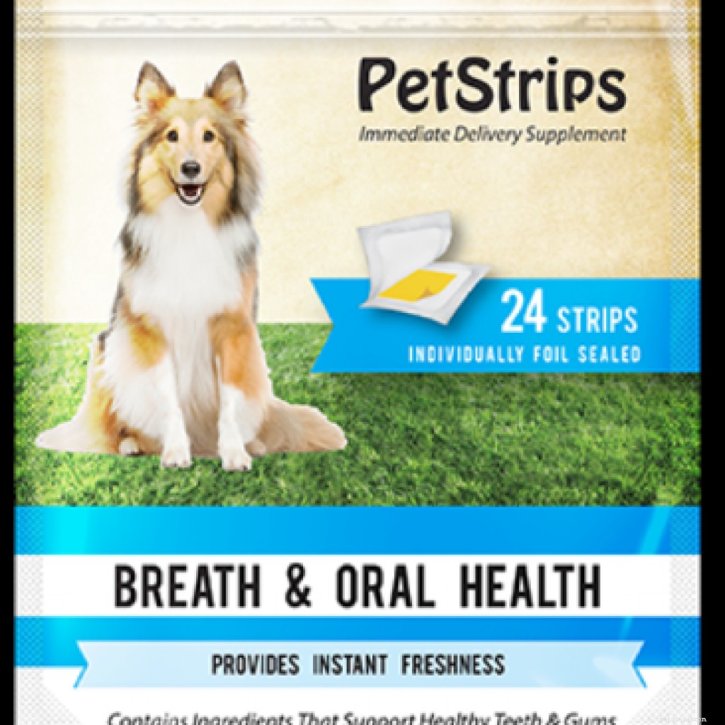 Come mantenere puliti i denti del tuo cane