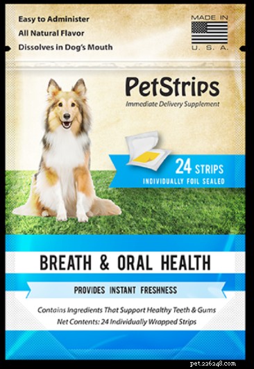 Ústní zdraví:Okno k celkovému zdraví vašich psů