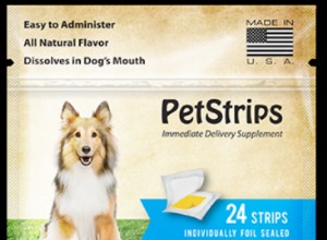 口腔の健康：あなたの犬の全体的な健康への窓 