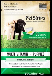 Honden en vitamines, het dynamische duo