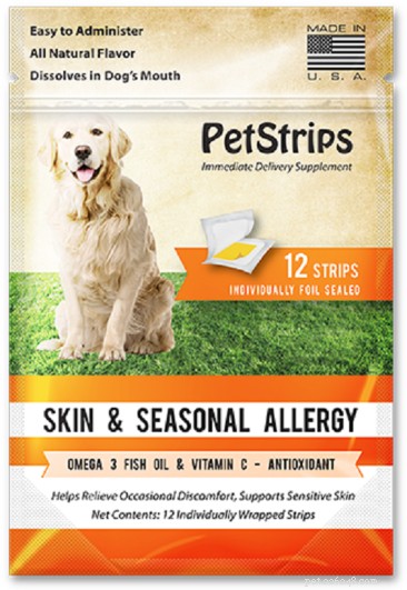 Allergie canine:cosa devi sapere