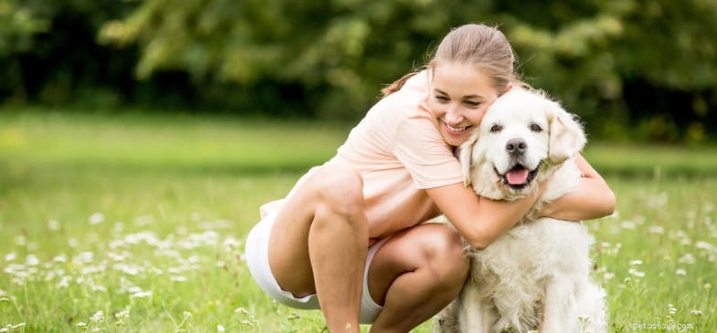 Begrijpen honden knuffels?