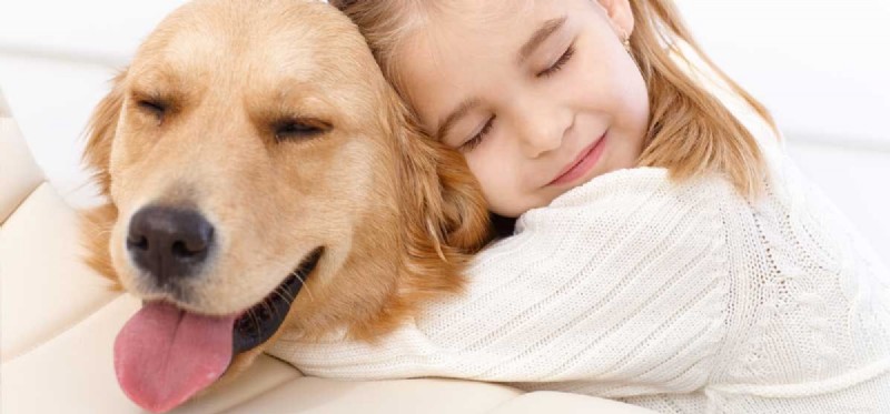 Kan hundar förstå kramar?