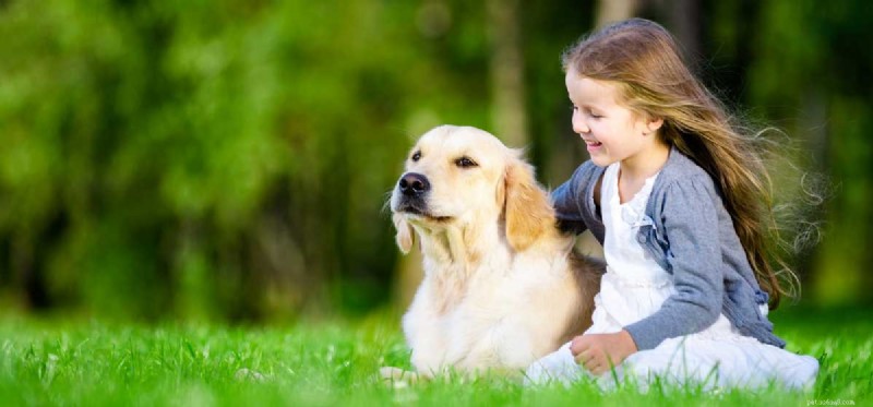 I cani possono dire se qualcuno è una brava persona?