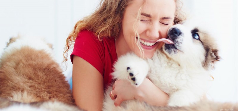 Могут ли собаки быть щекотливыми?
