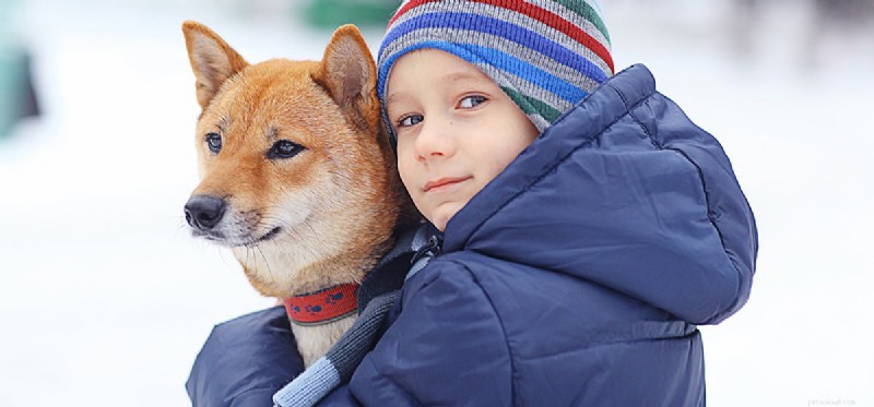 Os cães podem pegar seu resfriado?