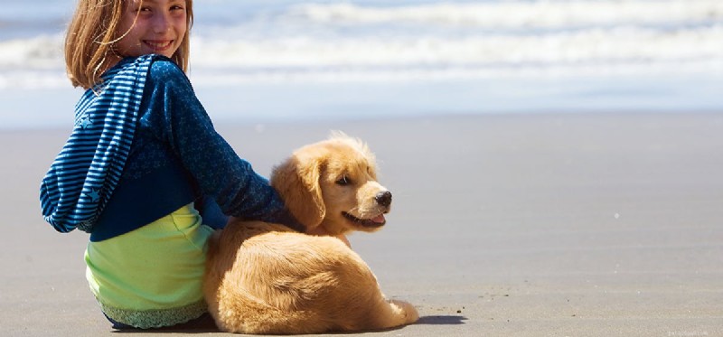 I cani possono fingere di essere pacifici?