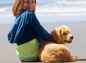 犬は平和なふりをすることができますか?