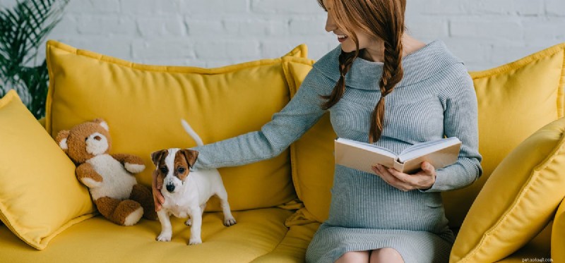 Kunnen honden de hartslag van een ongeboren baby horen?