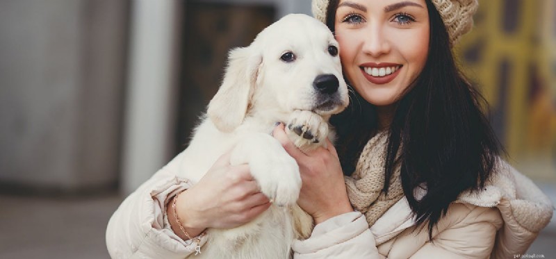 Les chiens peuvent-ils entendre les battements de cœur d un bébé à naître ?