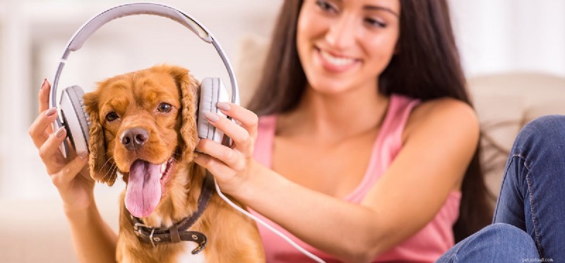 Slyší psi vysoké zvuky?