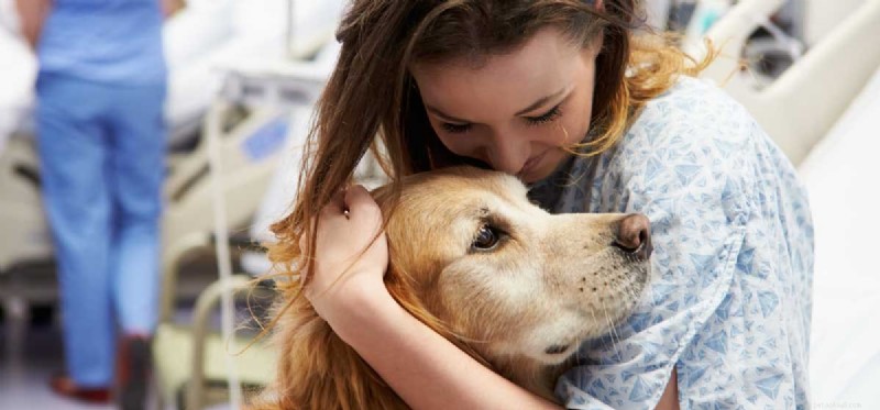 Могут ли собаки помочь справиться с горем?