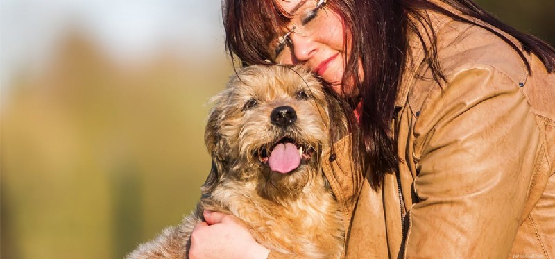 Kunnen honden helpen met geestelijke gezondheid?