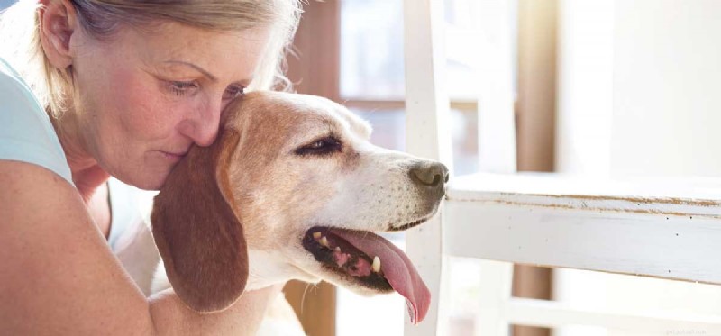 I cani possono aiutare con lo stress?