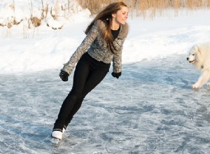 Могут ли собаки кататься на коньках?