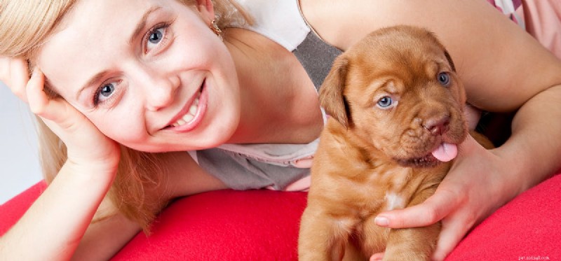 Kan hundar leva med en njure?