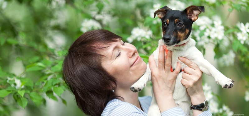Les chiens peuvent-ils vivre avec des phasmes ?