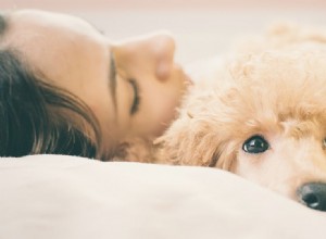 Můžou vás psi dělat nemocní?