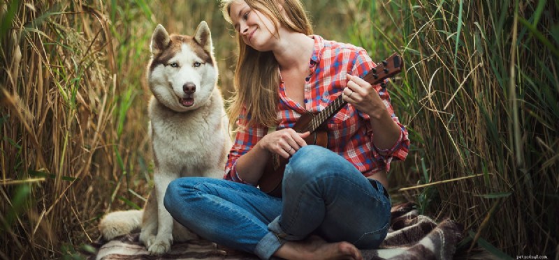 I cani possono sentire solo una sillaba?