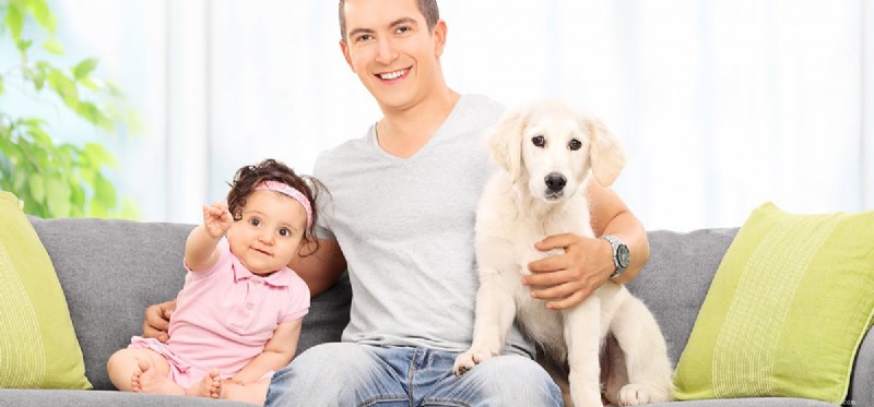 Les chiens peuvent-ils reconnaître les membres de la famille humaine ?