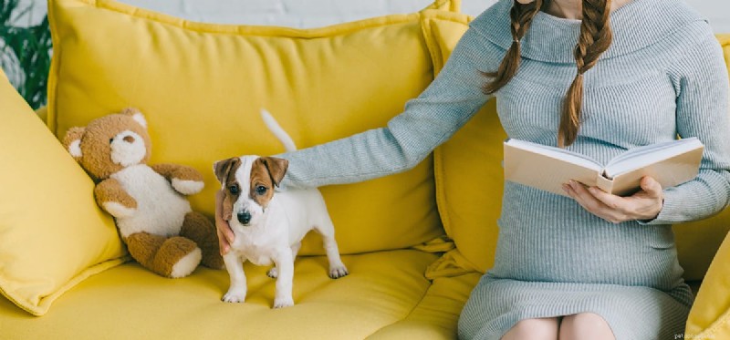 Dokážou psi vycítit příchod dítěte?