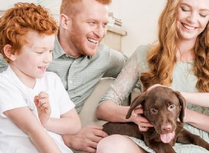 개가 가족을 감지할 수 있습니까?