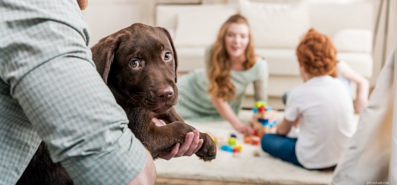 Kan hundar känna familj?