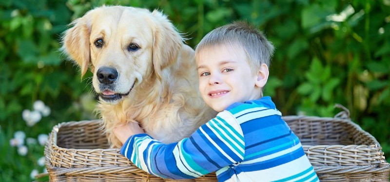 Can Dogs Sense Family?
