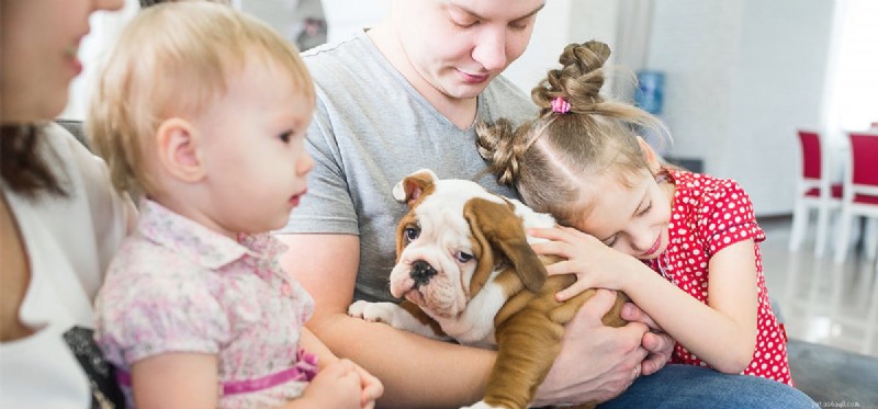 Dokážou psi vycítit rodinu?