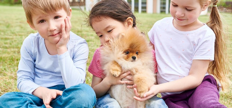Les chiens peuvent-ils détecter les membres de la famille ?